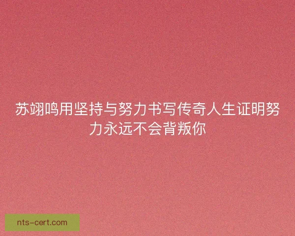 苏翊鸣用坚持与努力书写传奇人生证明努力永远不会背叛你