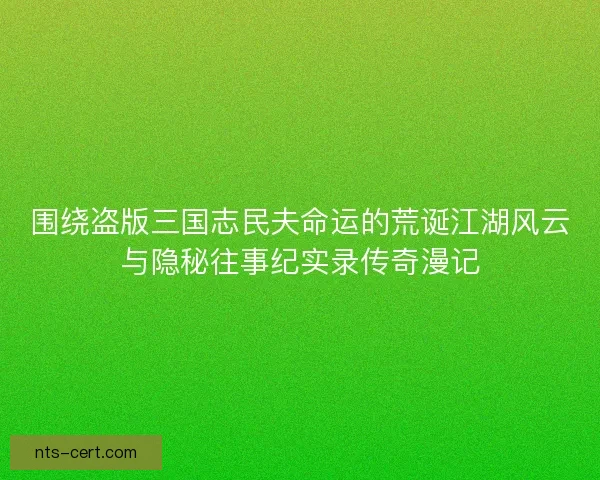 围绕盗版三国志民夫命运的荒诞江湖风云与隐秘往事纪实录传奇漫记